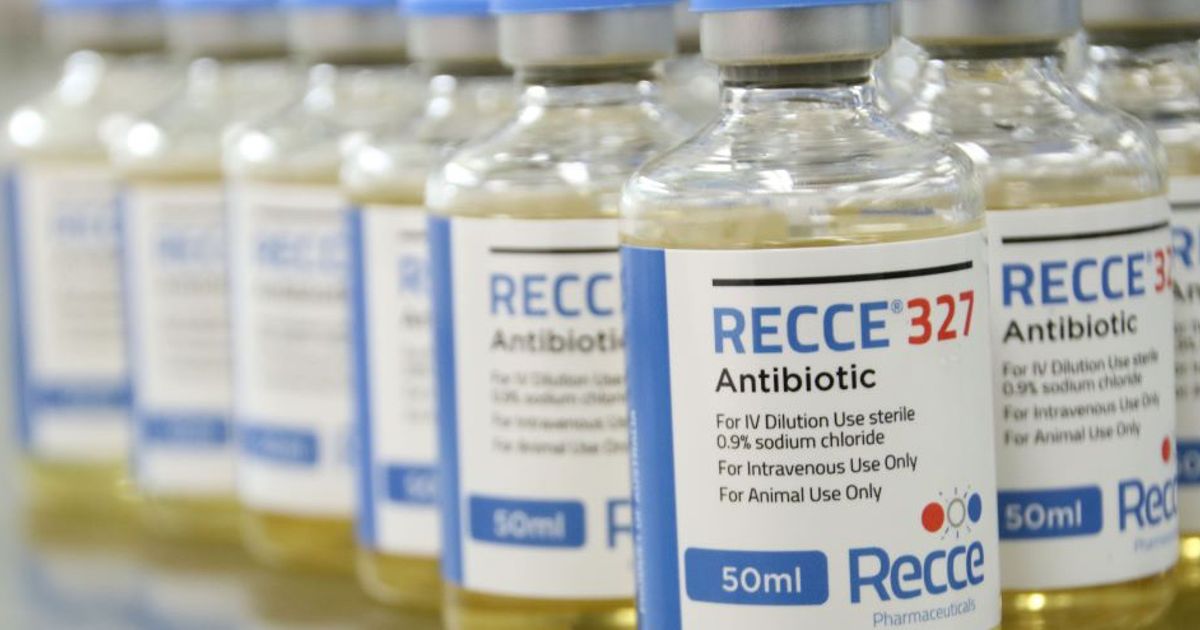 Recce Pharmaceuticals hits major milestone in R327 clinical trial for ...
