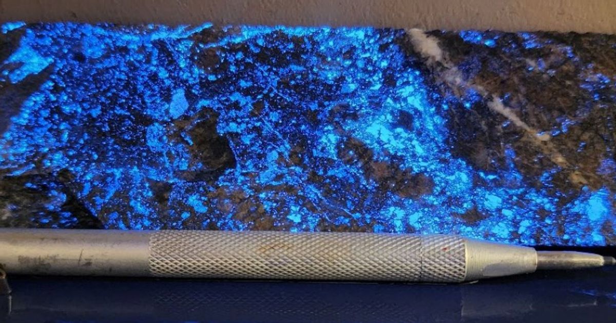 Flynn Gold reveals polymetallic strike and depth potential at Firetower - Vimarsana News