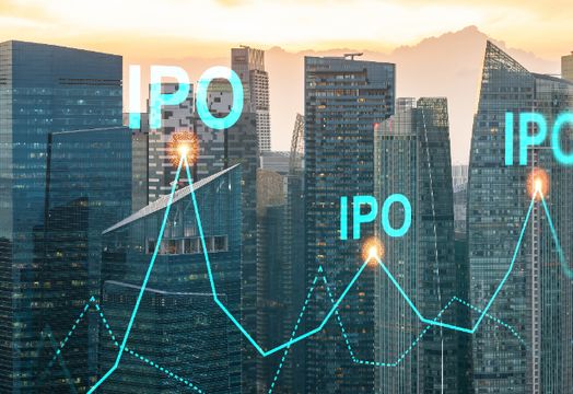 Reddit - US IPO market bounced back in first quarter: report
