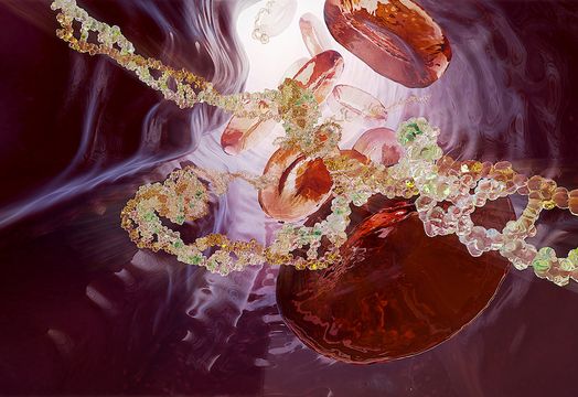 Rakovina Therapeutics Inc - 