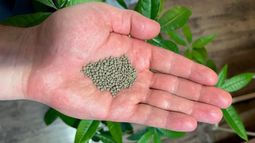 Replenish Nutrients Holding Corp - Replenish Nutrients points to strong demand for natural fertilizers amid major capacity expansion
