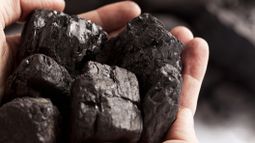 Handful of coal