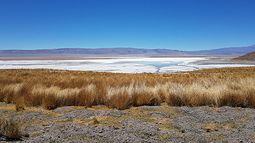Argentina Lithium receives exploration permit for Paso de Sico Concession