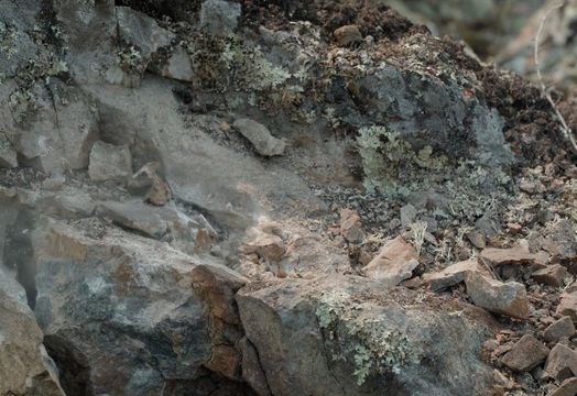 Standard Uraniums sees 2024 exploration success, prepares for expanded drilling in n 2025