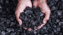 Hands holding pieces of coal 