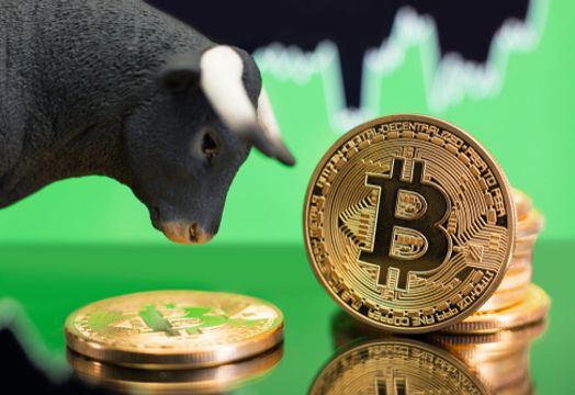 Bull staring at bitcoin
