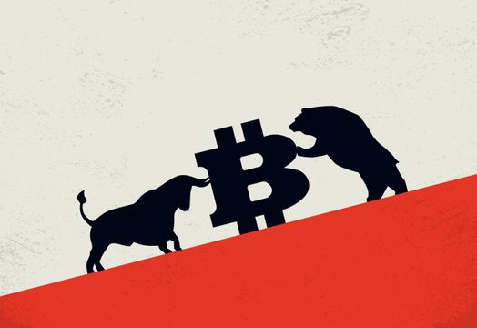 Bitcoin with bull on side, bear the other