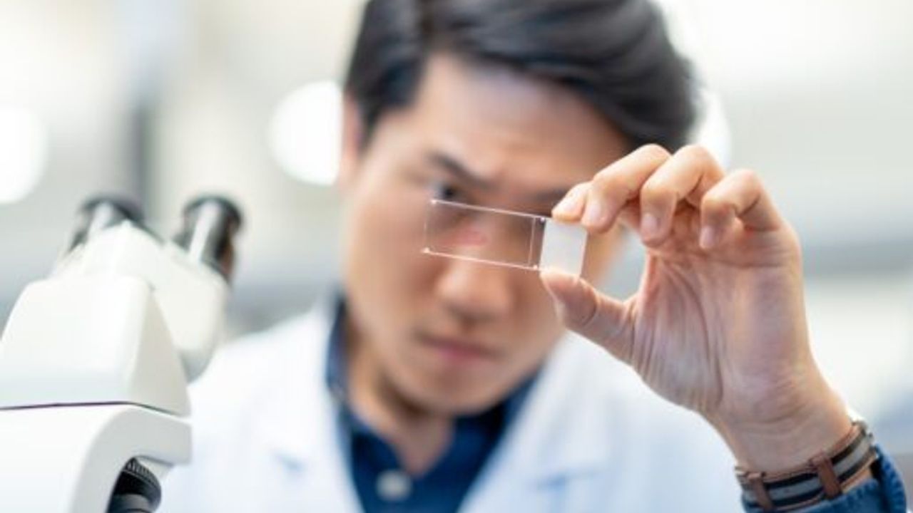 Imugene receives substantial capital injection; extends cash runway to ...
