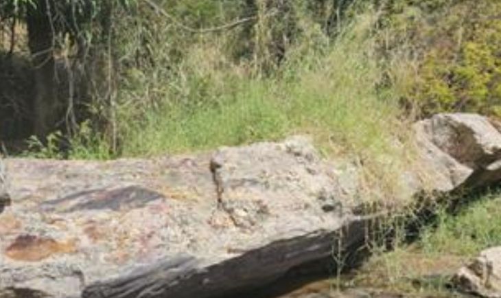 Lightning Minerals Reports Strong Lithium Assay Results at Cara&iacute;bas Project in Brazil