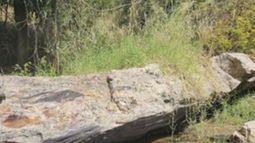 Lightning Minerals Reports Strong Lithium Assay Results at Cara&iacute;bas Project in Brazil