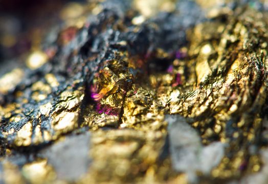 North Bay Resources Inc. - North Bay Resources reports first sales of gold concentrate from Fran Gold project - ICYMI