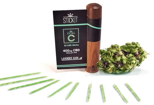 StickIt Technologies Inc. - Stickit Technologies strengthens leadership team with board appointment