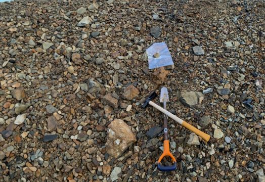 North Bay Resources Inc. - North Bay Resources CEO discusses Fran Gold resource update - ICYMI