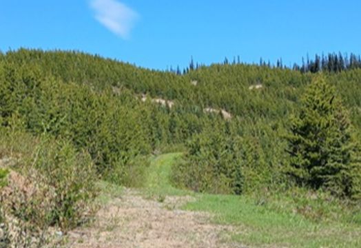 North Bay Resources achieves continuous operations at Bishop Gold Mill
