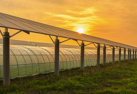 Zenith Energy Ltd - Zenith Energy acquires five more agri-solar projects in Italy