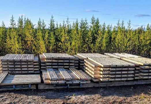 Athabasca Uranium - Standard Uranium to launch September drill program at Davidson River project