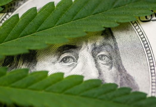 Nevis Brands - Cannabis stocks surge as Trump consider reclassifying the drug