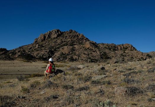 American Rare Earths Ltd - American Rare Earths advances Halleck Creek project with high-grade results and key milestones