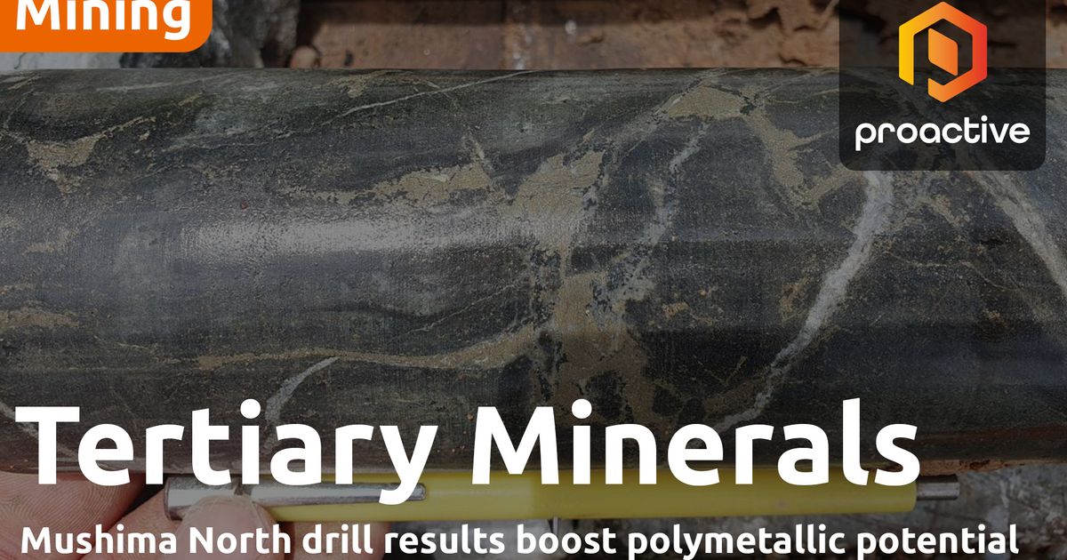 Tertiary Minerals MD says Mushima North drill results boost ...