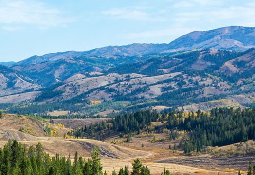 American Uranium Ltd - American Uranium stakes claim in US drive to rebuild nuclear fuel supply