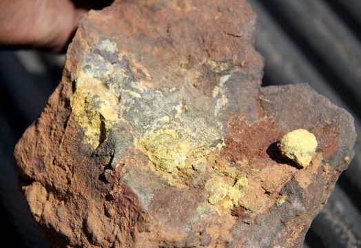 GoviEx Uranium Inc - GoviEx Uranium CEO on 'pivotal' year for company; upcoming 2025 milestones