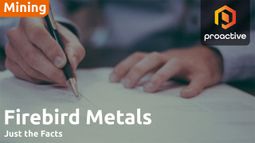 Just the Facts: Firebird Metals partners with Sedgman to advance energy-efficient kiln