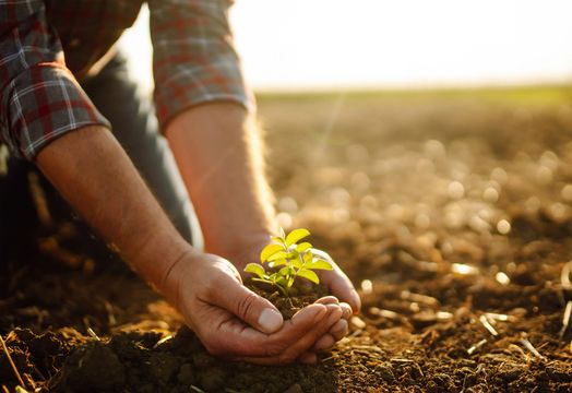 Replenish Nutrients is developing regenerative fertilizer solutions to improve soil health and boost crop yields