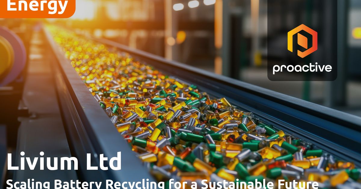 Livium CEO on the future of large-format battery recycling | ASX:LIT ...