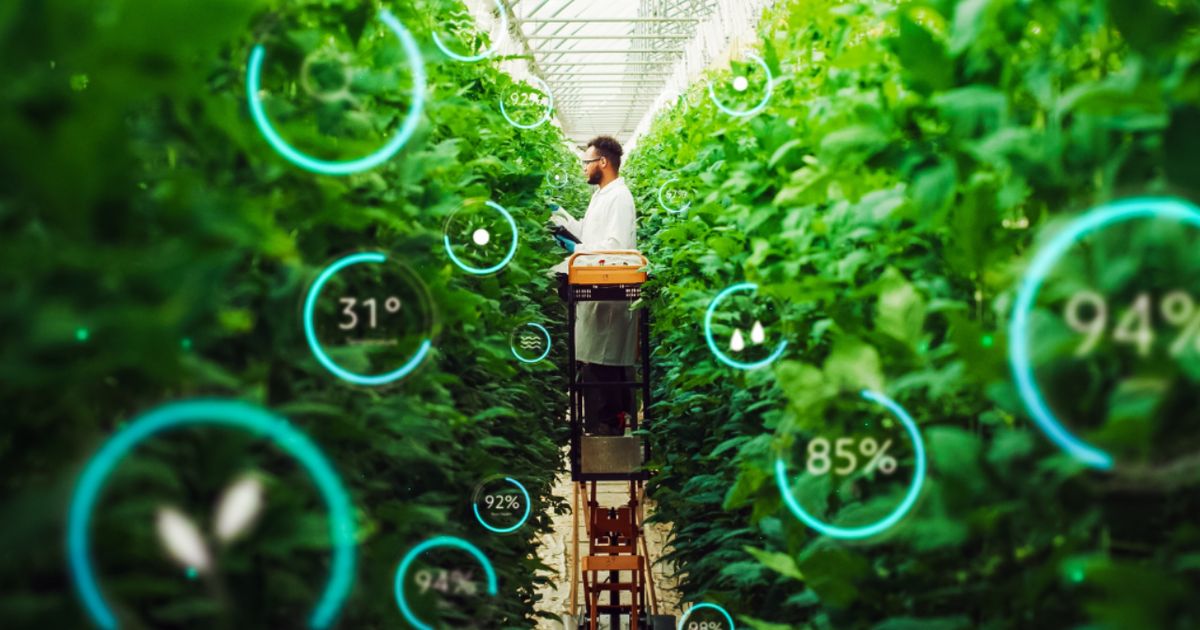 Light Science grows global footprint with fresh AgTech deals