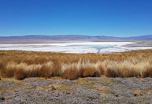 Argentina Lithium & Energy Corp - Argentina Lithium & Energy CEO shares insights into resource estimate at Rincon West property &ndash; ICYMI 