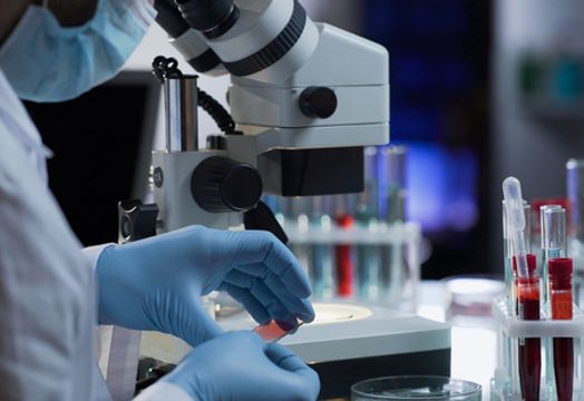 Sona Nanotech Inc - Sona Nanotech reveals positive response rate in first-in-human THT cancer therapy study 