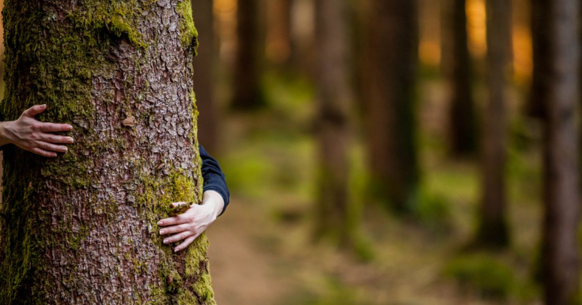 Industry divided as Greens–Labor environment deal sparks fierce pushback