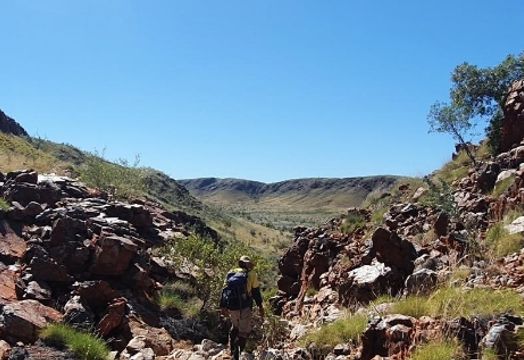 Novo Resources Corp - Novo Resources returns high-grade Pilbara gold as Sherlock drill hit points to &lsquo;larger system&rsquo;