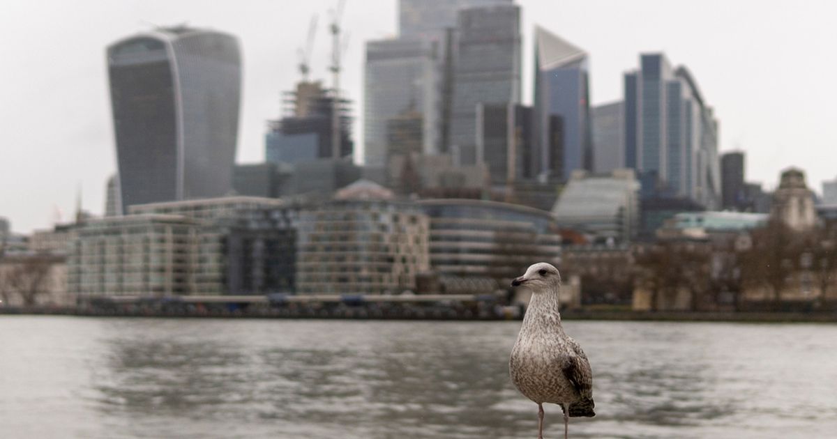 FTSE 100 Live: Stocks in London and New York slide, Flutter enters predictions markets