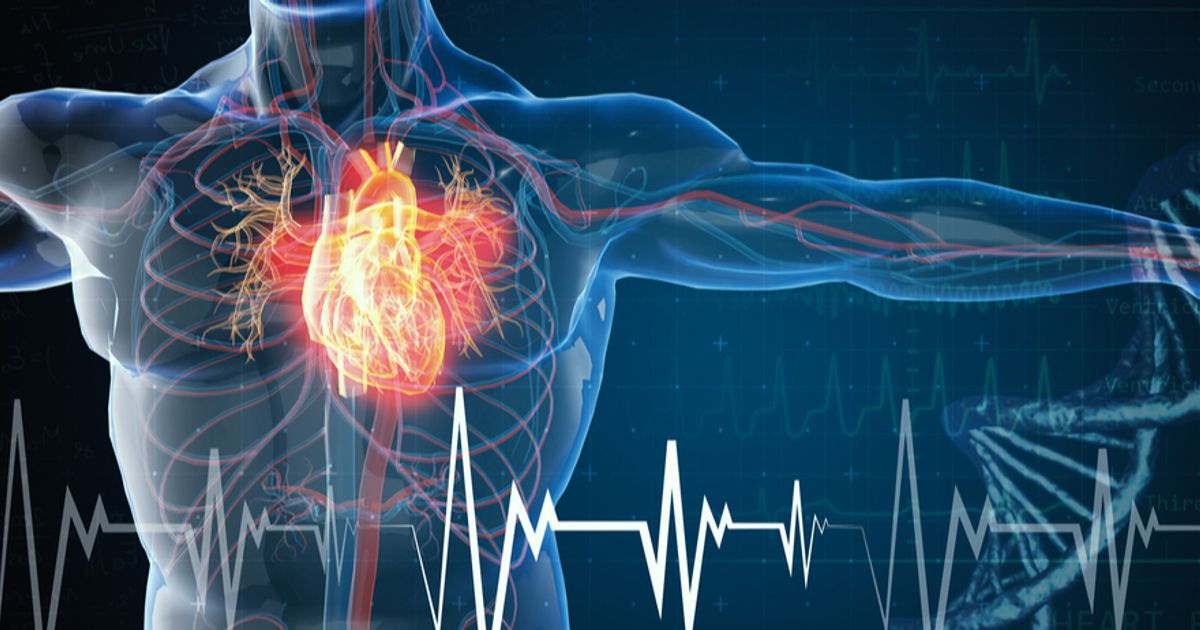 Inside Biotech: AI pushes cardiology towards prevention — if...