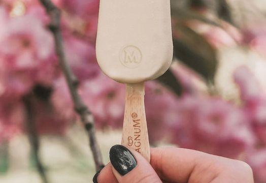 The Magnum Ice Cream Company - 