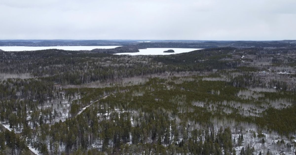 Critical Resources appoints Pathway Group to advance Mavis Lake Lithium Project in Canada