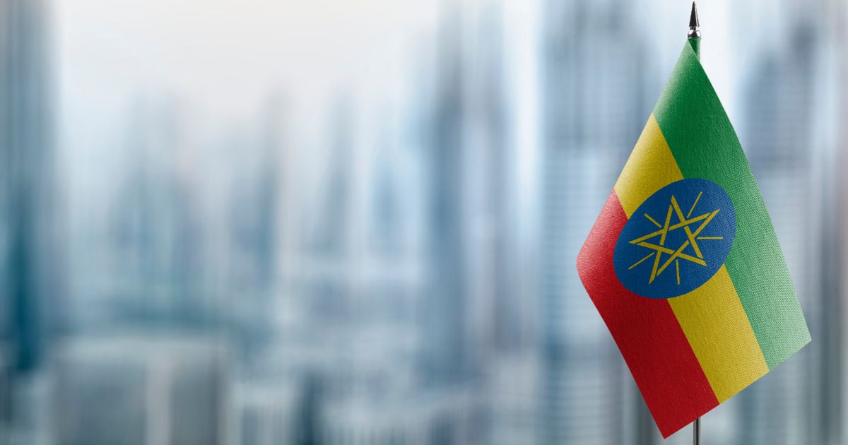 Askari strengthens government backing as it advances Nejo...