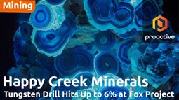 Happy Creek reports strong Tungsten assays from 2025 drilling at Fox project