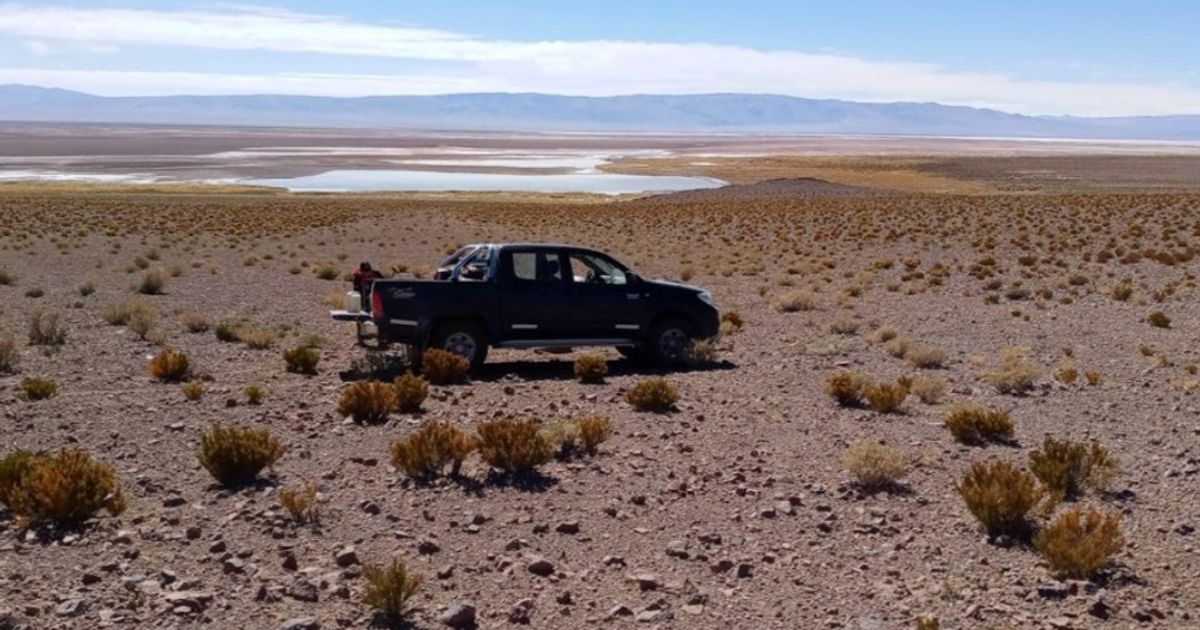 Argentina Lithium & Energy inks MOU with Xi’an Lanshen to advance...