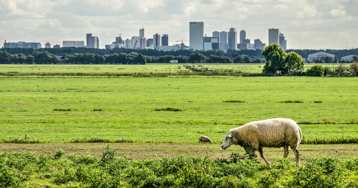 UK equities offer opportunities amidst 'quiet reset', says UBS