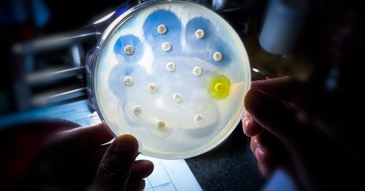 Inside Biotech: Recce Pharmaceuticals advances late-stage push in antibiotic...