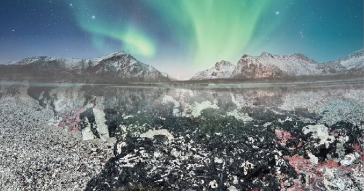 European Lithium extends buy-back as board points to deeper value...