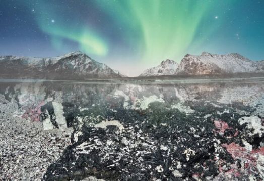 European Lithium extends buy-back as board points to deeper value in Tanbreez exposure