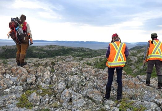 FireFly Metals Ltd - FireFly Metals shifts from high-grade growth story to large-scale copper mine pathway