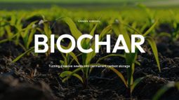 Coralia teams with Swinburne to advance biochar concrete push for data centres