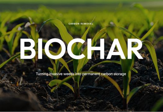 Coralia teams with Swinburne to advance biochar concrete push for data centres