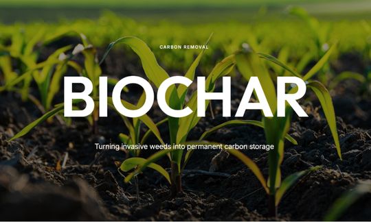 Coralia teams with Swinburne to advance biochar concrete push for data centres