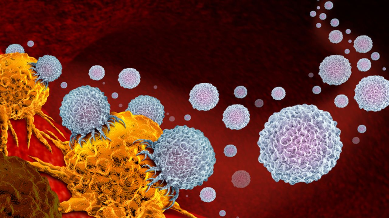 Percheron Therapeutics raises $2.2 million as HMBD-002 phase II ...