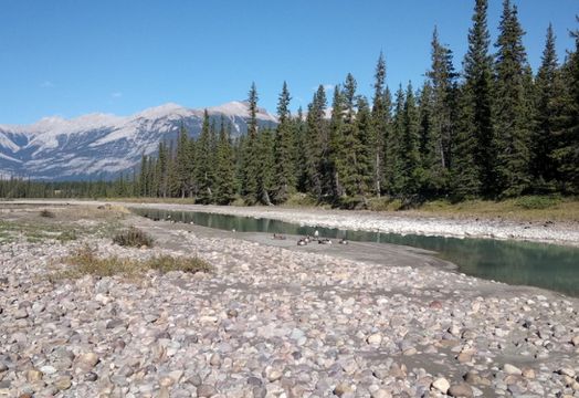Athabasca